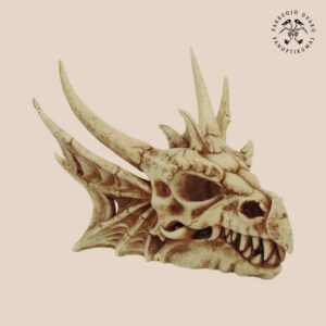 Drakonų Motinos Drakono Kaukolė Massive Dragon Skull +
