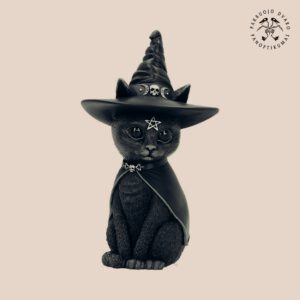 Juoda Raganos Katė su Skrybėle Magic Witch Cat