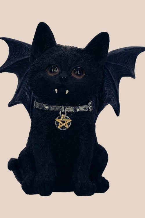 Katė Vampyras Katė Šikšnosparnis Black Cat Witchcraft